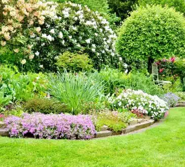 Conseils pratiques pour choisir les plantes adaptées à son jardin