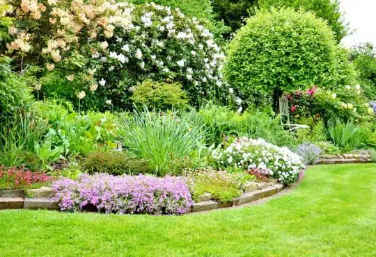 Conseils pratiques pour choisir les plantes adaptées à son jardin