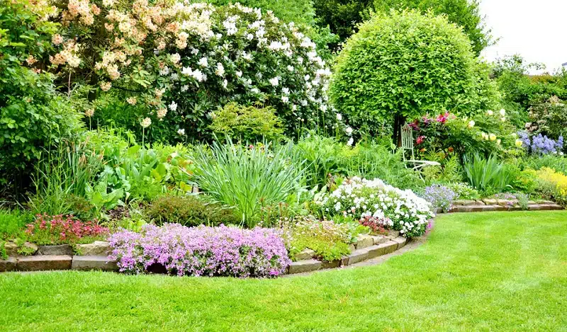 Conseils pratiques pour choisir les plantes adaptées à son jardin