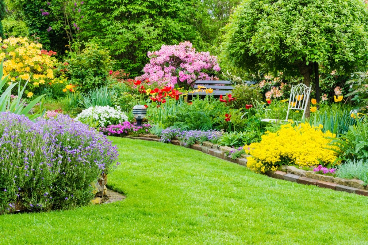 Conseils pratiques pour choisir les plantes adaptées à son jardin