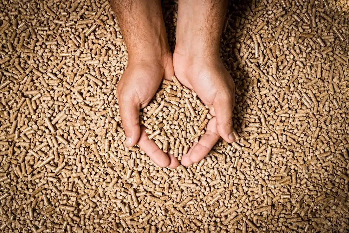 pellets